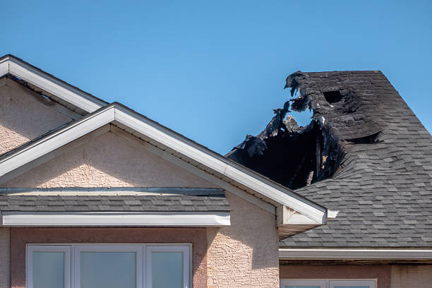 Top rated local Fire Damage Removal specialists in Occoquan, VA